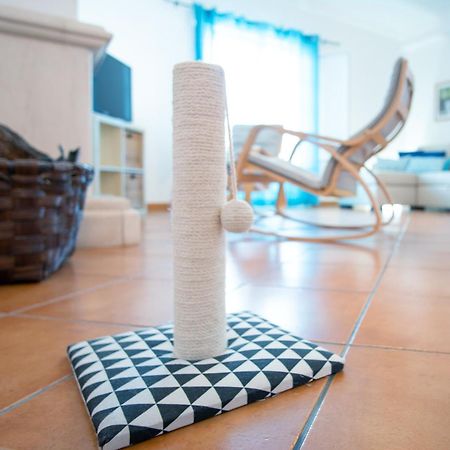 Pe Na Areia By Stay In Alentejo Vila Nova de Milfontes Zewnętrze zdjęcie